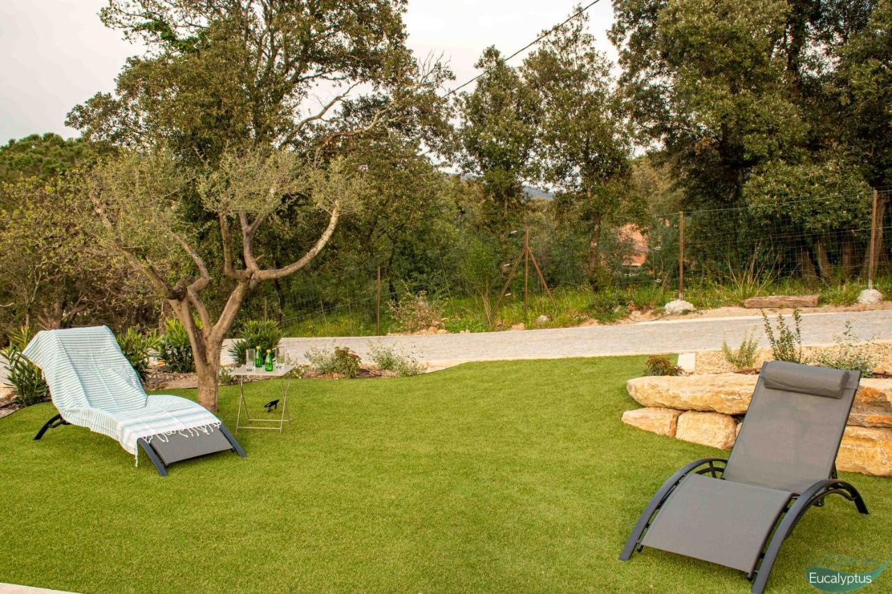 Le Clos Des Eucalyptus Le Plan-de-la-Tour Exterior photo