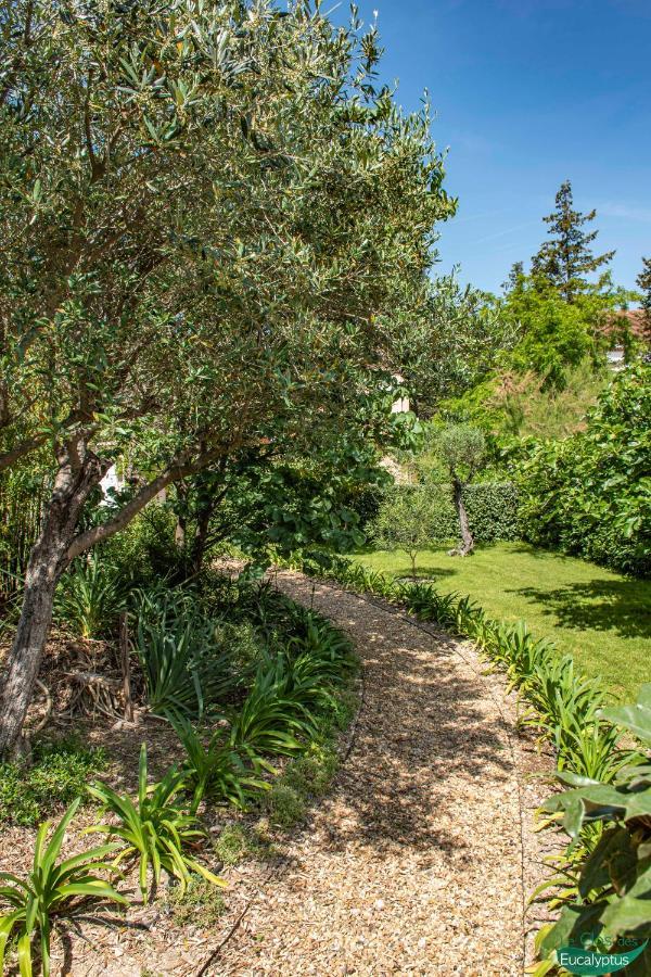 Le Clos Des Eucalyptus Le Plan-de-la-Tour Exterior photo